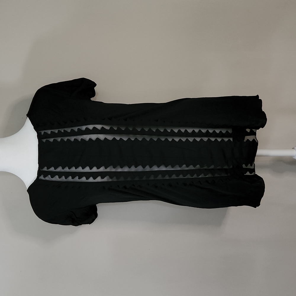 Nwt BCBG Maxazria semi sheer short sleeve